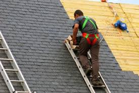 Best Green or Eco-Friendly Roofing Solutions  in USA